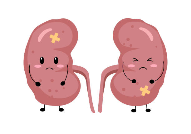 Sad Cartoon Kidney sad-cartoon-kidney
