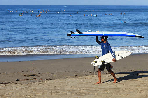 Young Balinese man carrying two surfboards, one on his head and another at his side, at Batu Bolong Beach in Canggu, Bali, Indonesia while many surfers can be seen waiting to catch waves in the sea.