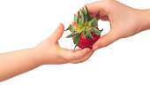 Childs hand holding a red strawberry isolated on wihte background. Minimal, natural, summer fruit arrangement. Organic, raw food. Concept - Eating ugly fruits and vegetables.