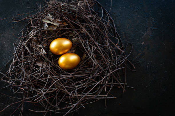 Golden eggs in nest on dark vintage wooden background,golden easter eggs Golden eggs in nest on dark vintage wooden background,golden easter eggs best physical gold ira stock pictures, royalty-free photos & images