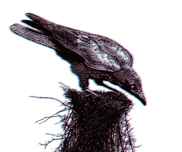 Vector illustration of Gothic raven with Glitch Technique