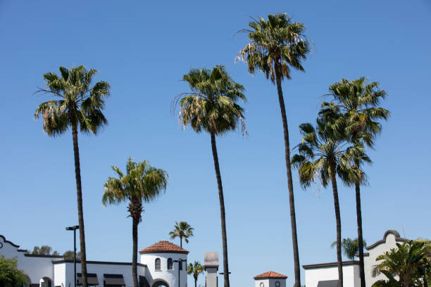 istock Costa Mesa, California 1454517279