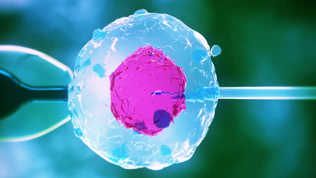 Artificial insemination or in vitro fertilization