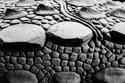 Partial detail of the scales of the artificial dinosaur clay sculpture