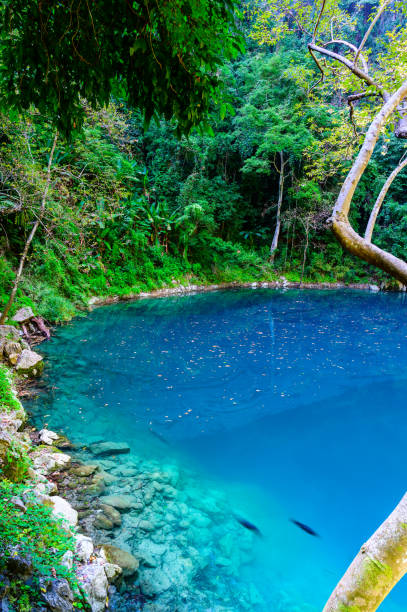 istock Lom Phu Khew or Blue Lake in Tham Phatai National Park 1454521086