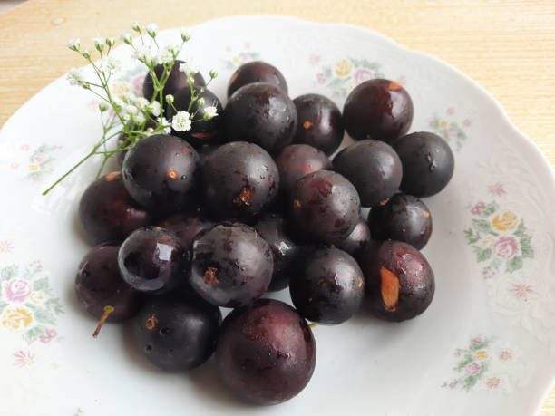 istock exotic fruits on the table 1454522703