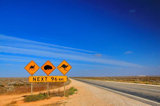 nullar plain, der flache abgelegene teil australiens - australian outback stock-fotos und bilder