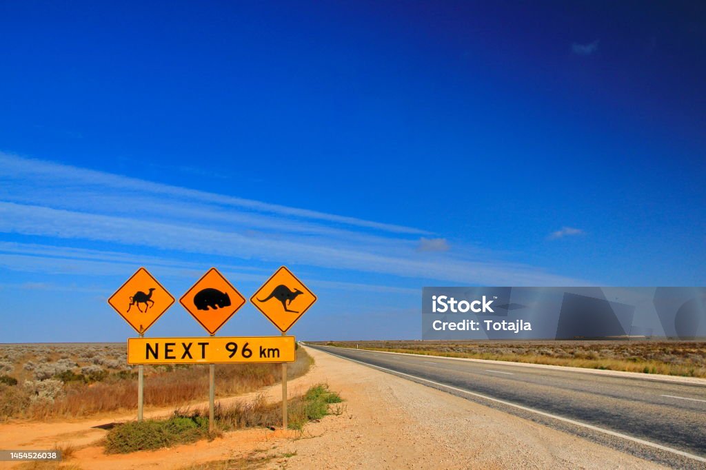 Nullar Plain, the flat remote part of Australia Endless flatness over the Nullarbor Plain Outback Stock Photo