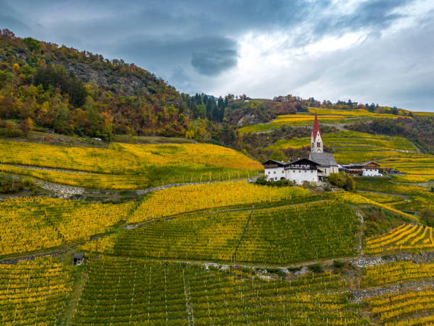 istock Church and wine fields in autumn 1454527057