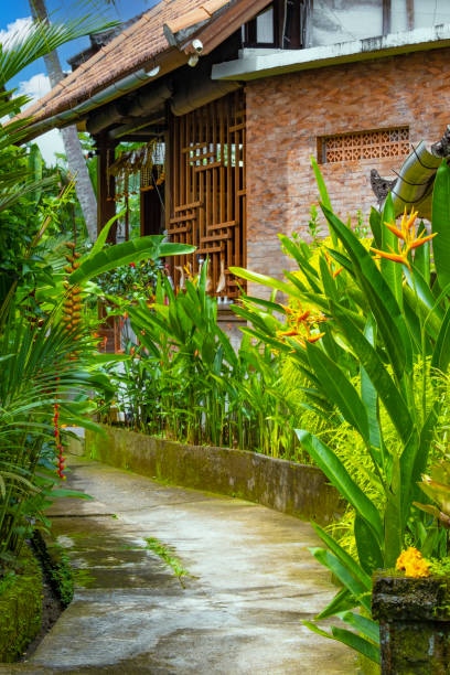 istock Narrow walking path lined with tropical plants in a small village in Ubud, Bali 1454529214