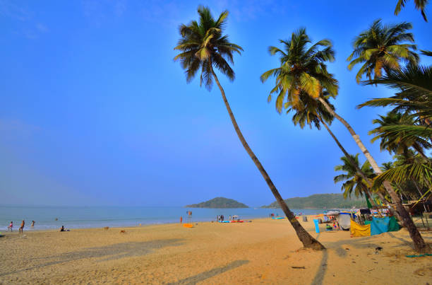 istock Tall coconut trees overlooking the Palolem beach in Goa. 1454529571