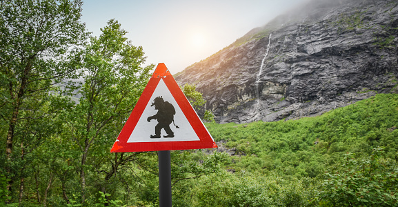 Troll warning road sign at Trollstigen Norway`s famous curving road. Scenic landscape with trees and mountain in the background on a summer day.