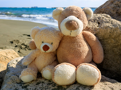 Two hugging teddy bears sitting on big rocks in front of wavy sea