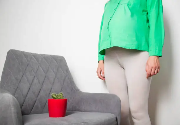 A cactus in a red pot stands on a gray chair against the background of a pregnant girl. The concept of pain in the rectum in pregnant women, hemorrhoids. Proctitis and anal fissure.