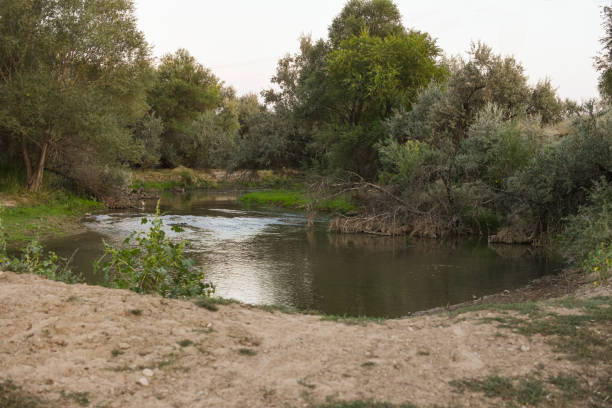 istock river outside the city in summer 1454534824