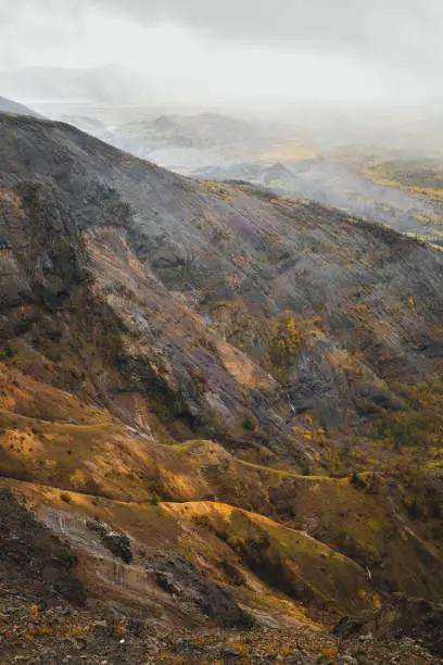 Photo of Vertical shot of a rocky hill in a rural area enveloped in fog