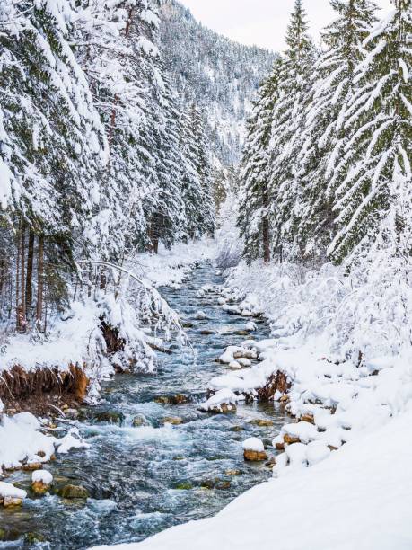 istock Natural view of a river in a winter forest under a white sky 1454538719