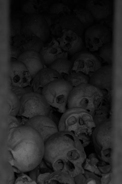istock Vertical of a stack of human skulls shot in grayscale 1454539556