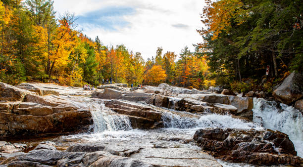 istock Scenic shot of a waterfall surrounded by an autumn forest 1454539944