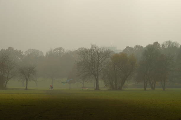 istock Misty autumn afternoon in Niddapark, Frankfurt. 1454540562