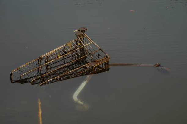 istock A shopping cart was thrown into the river Nidda. 1454541591