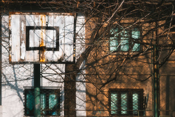 istock Old basketball board in front of bare trees in the park 1454543368