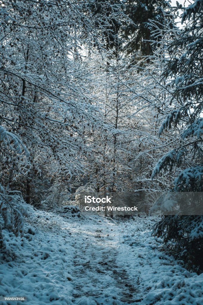 Winter is here with snow. Winter is here in Bavaria Germany. Snow has fallen. Bavaria Stock Photo