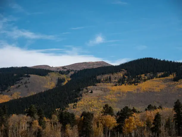 Photo of Beautiful view of green and yellow aspens covering the Rocky Mountains near Denver, USA