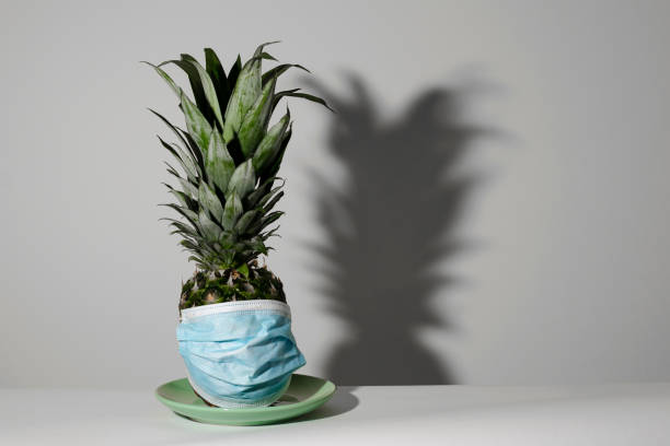 istock Pineapple with a medical face mask on a plate 1454543591