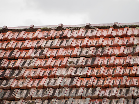 Very old tile roof with small plants growing out