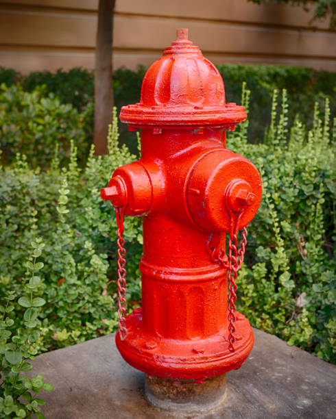 istock Closeup of a red fire hydrant with bushes behind 1454545360