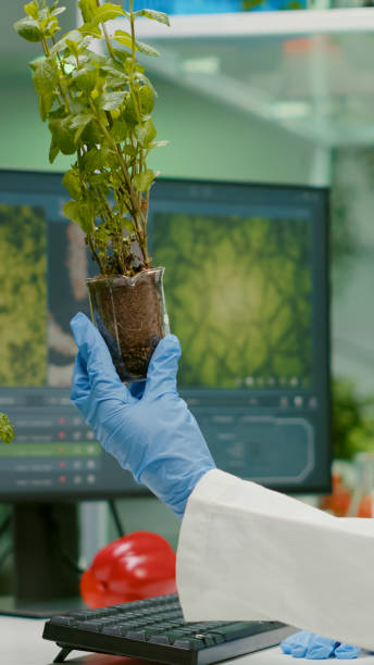 istock womanresearcher looking at green sapling comparing with tomato 1454548481