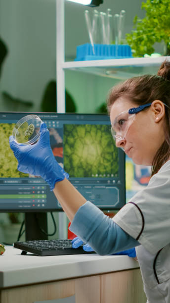 istock Botanist researcher typing medical expertise on computer 1454548649