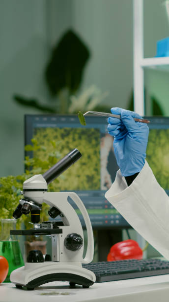 istock Pharmaceutical woman looking at organic leaf sample 1454548777