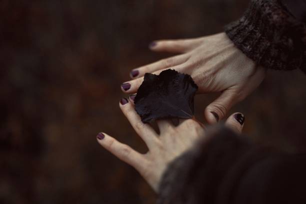 istock Closeup shot of hands holding a dark black leaf 1454548935