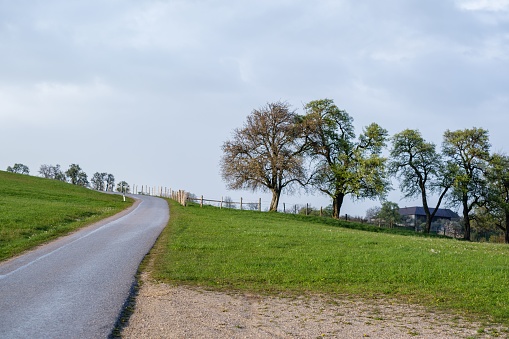 A paved road amid green fields with trees under the gloomy sky