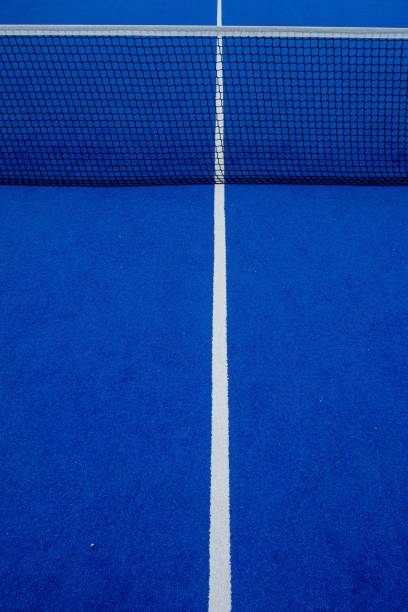 istock Artificial grass blue paddle tennis court netting 1454549676