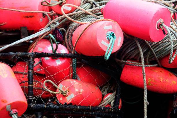istock Colourful floats used by crab fisherment 1454550707