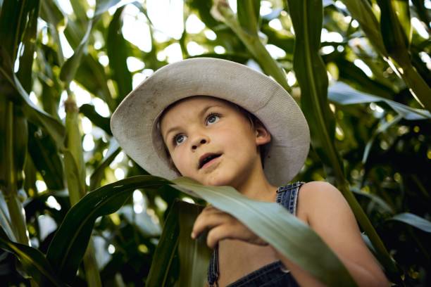 istock Adorable Caucasian boy wearing a hat in corn field 1454550853