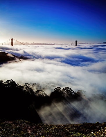 Dense white sea fog covering the Golden Gate Bridge, San Francisco, USA