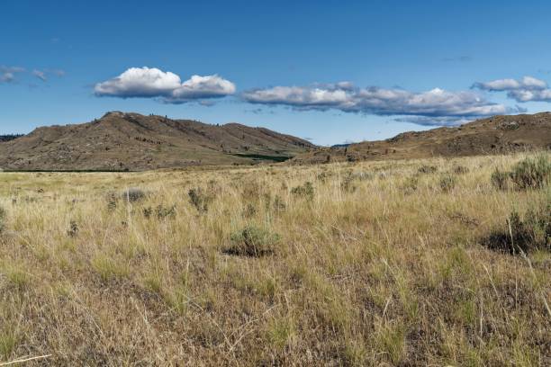 istock Rural landscape with yellow fields and hills in the background 1454552426