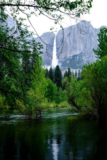 istock Vertical shot of a breathtaking waterfall with a pond at the bottom 1454554504