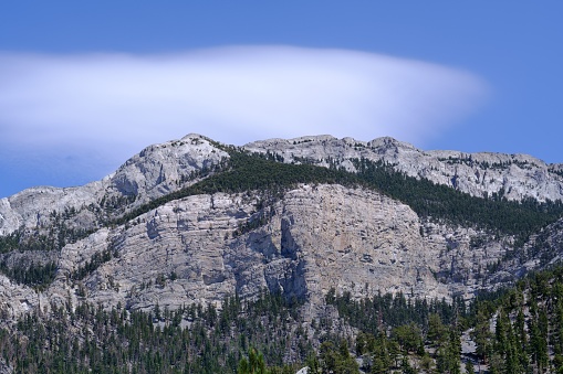 A scenic view of a rocky mountain partly covered with green pine forests under a cloudy blue sky