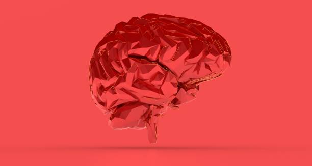 istock Illustration of a brain isolated on a pink background 1454559450