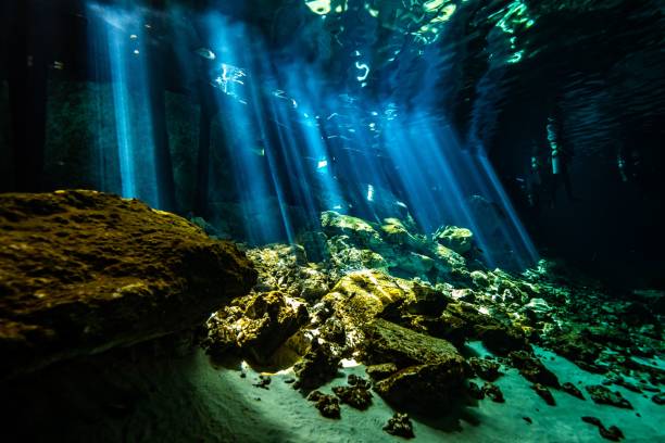 istock Beautiful nature of ocean underwater 1454559492