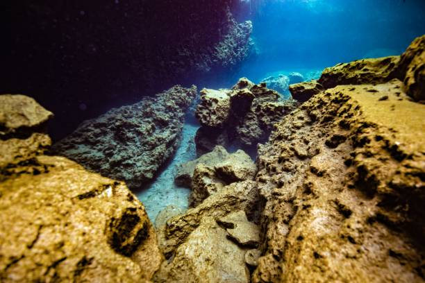 istock Beautiful nature of ocean underwater 1454559508