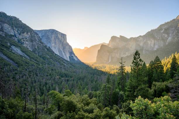 istock Mesmerizing scene of El Capitan rocky mountain against a blue  sky 1454559968