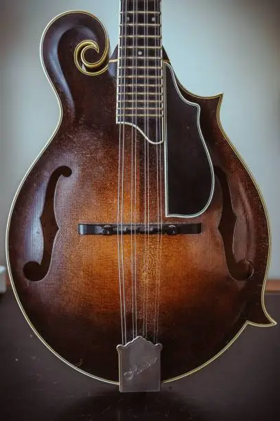 A vertical closeup shot of a stringed musical instrument- Mandolin