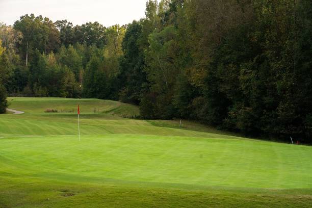 istock Scenic view of a golf course with a red flag surrounded by trees 1454561078