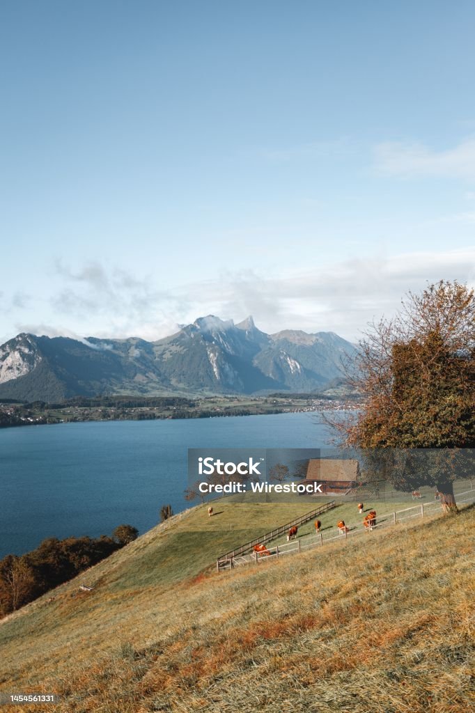 Vertical shot of the Stockhorn mountain and Thunersee lake in Switzerland A vertical shot of the Stockhorn mountain and Thunersee lake in Switzerland Cloud - Sky Stock Photo